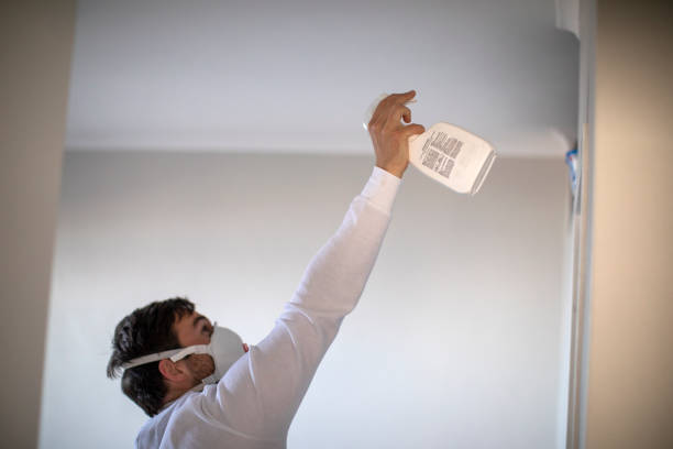 Best Home Mold Removal  in South Boston, VA