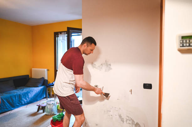 Best Local Mold Removal Service  in South Boston, VA